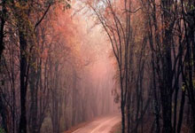 江南体育：杭州亚残运会火炬传递圆满成功人民日报.