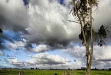 [图]凯恩戴帽萨内特尔破门 拜仁主场7-0大胜波鸿.