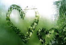 江南体育：杭州亚残运会火炬传递圆满成功人民日报.