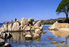 江南体育:塔图姆31+12字母哥43+13 凯尔特人逆转胜雄鹿.